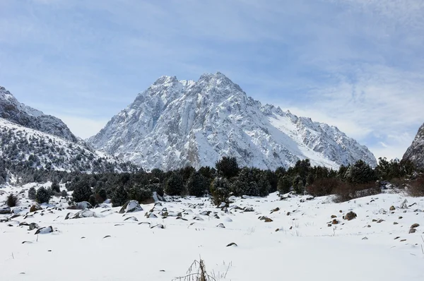 Zima v horách s modrou oblohou — Stock fotografie