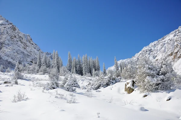 Vintern med berg och päls-träd i snö — Stockfoto
