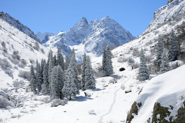 Χειμώνα με βουνά και γούνα-δέντρα στο χιόνι Φωτογραφία Αρχείου