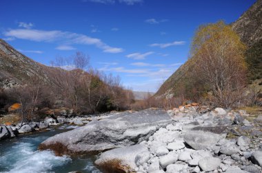 ağaçlar ve dağlar Nehri