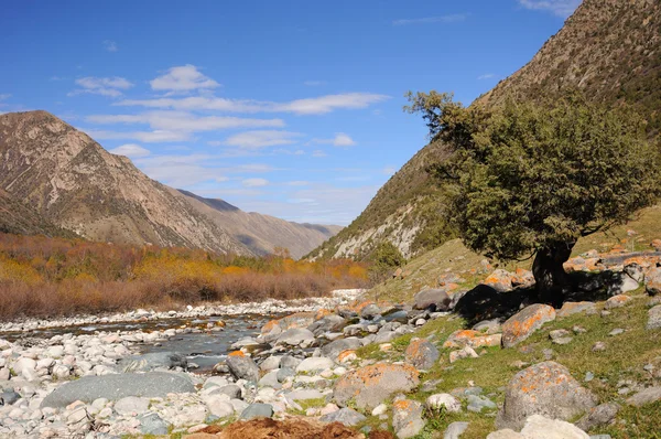 山脉河流和树木 — 图库照片