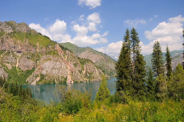 Барвисте гірське озеро з хутряним деревом — стокове фото
