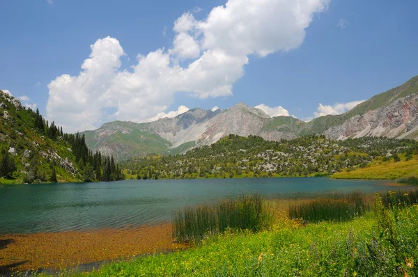 Colorido lago Sary-Chelek — Foto de Stock