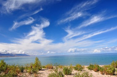 cottonwood kumlu göl üzerinde bir genç