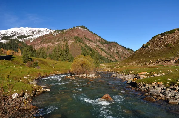 O rio da montanha no desfiladeiro — Fotografia de Stock