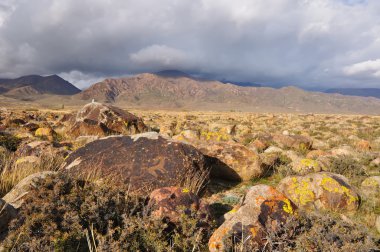 Ancient petroglyphs in a Valley Stones clipart