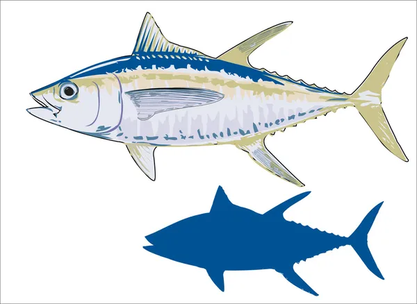 Pez atún — Archivo Imágenes Vectoriales