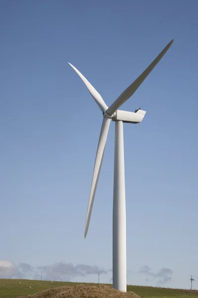 stock image Wind Turbine