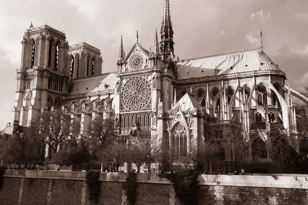 Notre Dame Pariisi — kuvapankkivalokuva