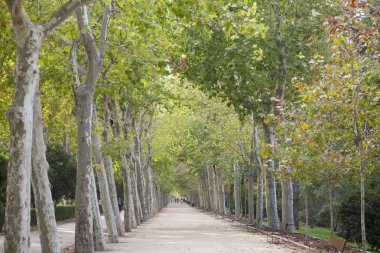 Retiro Park, Madrid