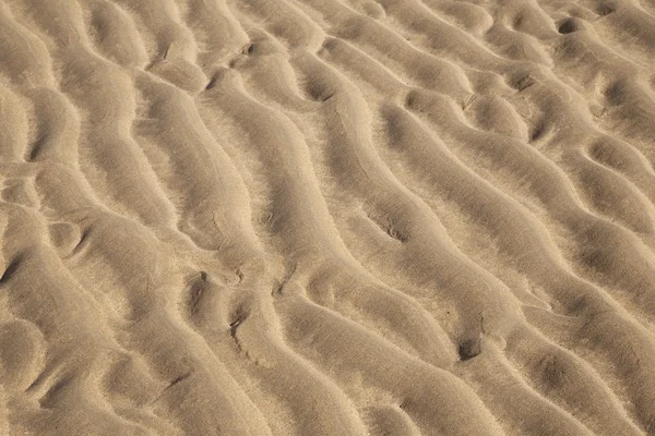 stock image Sand Ripple