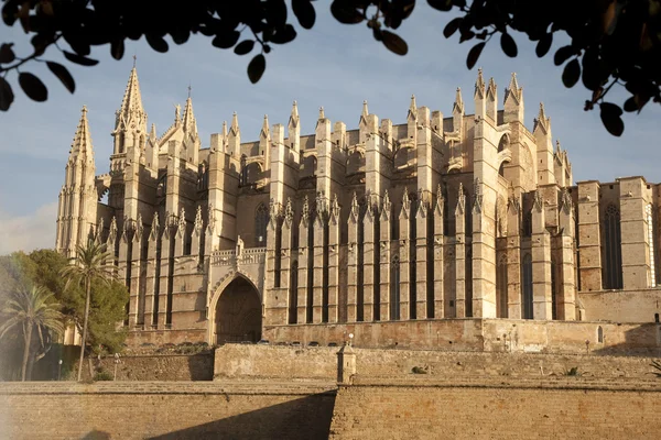 Katedral, palma de mallorca, İspanya — Stok fotoğraf
