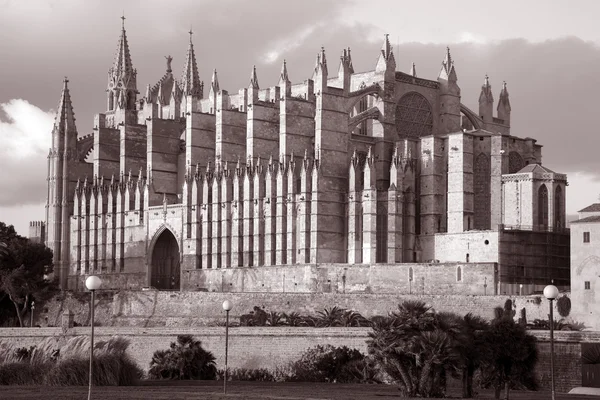 Katedrális, palma de mallorca, Spanyolország — Stock Fotó