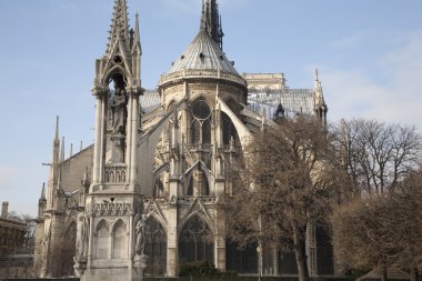 Paris 'teki Notre Dame Katedrali