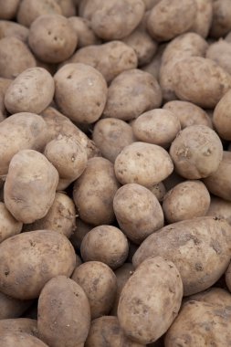 Potatoe Background clipart