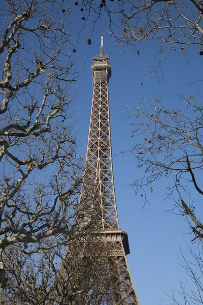 Eiffelturm durch Winterbäume — Stockfoto