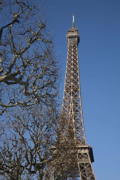 Tour Eiffel avec arbres d'hiver — Photo