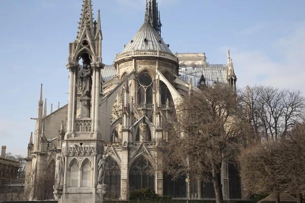 파리의 노트르담 대성당 — 스톡 사진