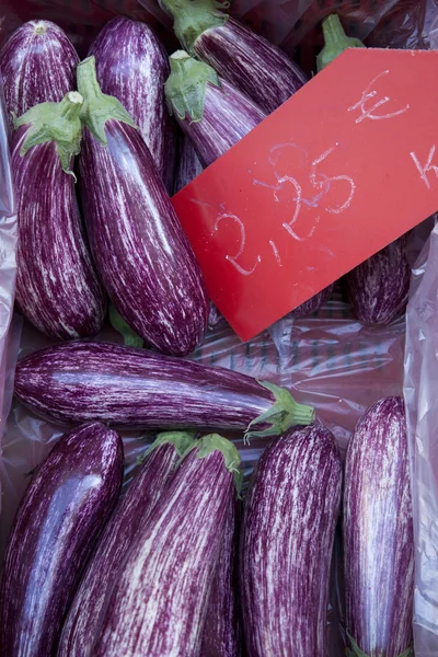 Patlıcan Patlıcan Satışa Piyasa Ahır Mallorca Spanya — Stok fotoğraf