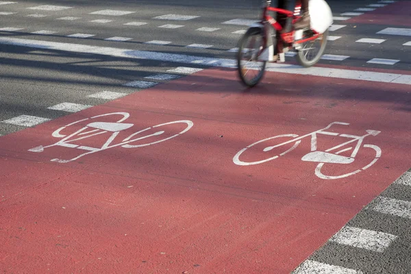 자전거 전용 도로 — 스톡 사진