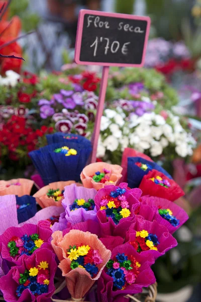Gedroogde bloemen te koop — Stockfoto