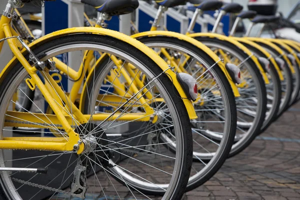 stock image Various yellow bikes in a row