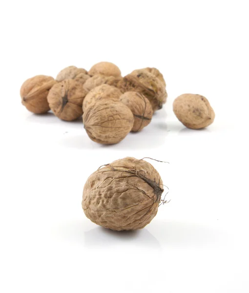 Walnut at front — Stock Photo, Image