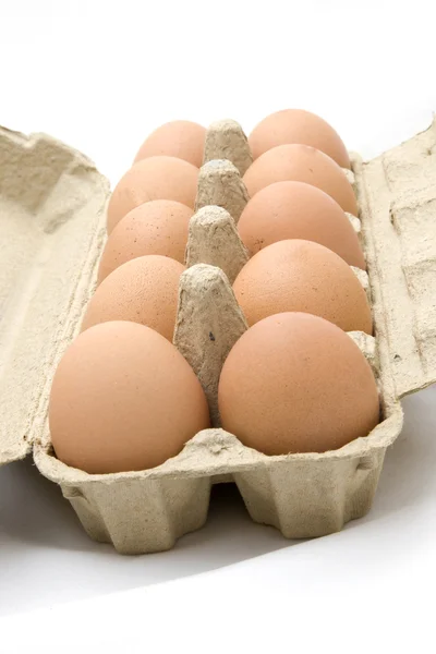 Des douzaines d'œufs — Photo