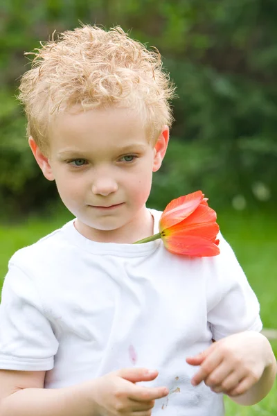 Showing flowers — Stock Photo, Image