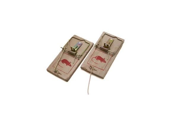 stock image Two mousetraps