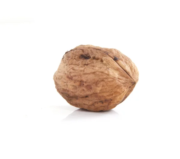 Single walnut — Stock Photo, Image