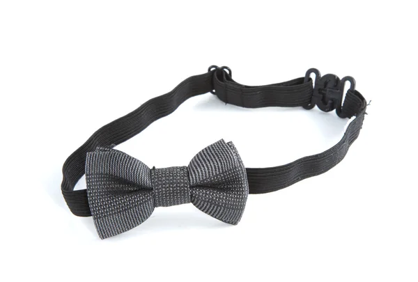 Grey bow tie — Stock Photo, Image