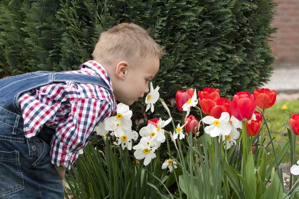 年轻的男孩嗅到的 花园里的花 — 图库照片