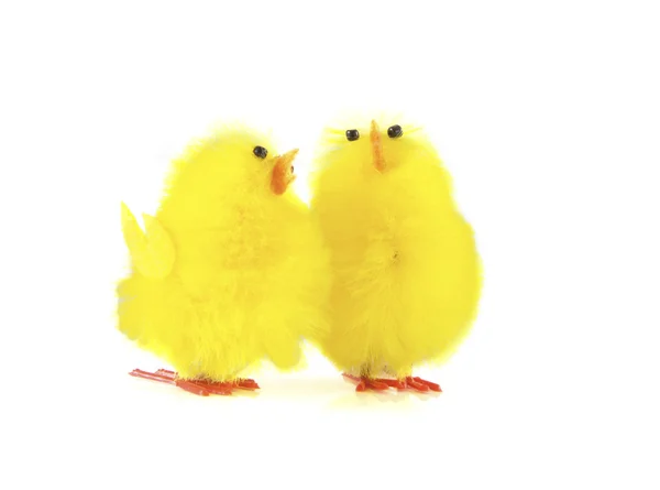 Duas aves — Fotografia de Stock