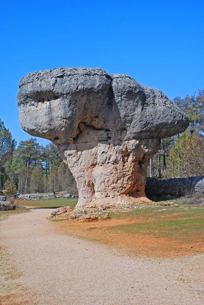 Каменный гриб в Зачарованном Городе — стоковое фото
