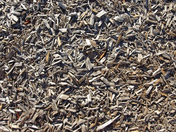 stock image Mulched ground