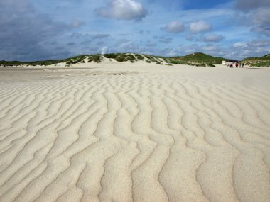 Beach and dunes clipart