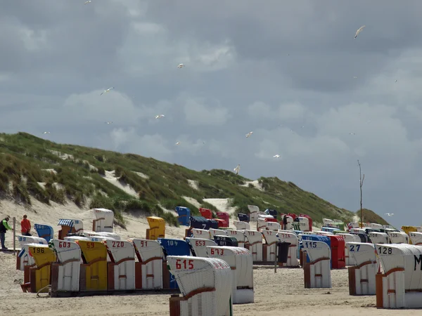 Strandstoelen op het eiland amrum — Stockfoto