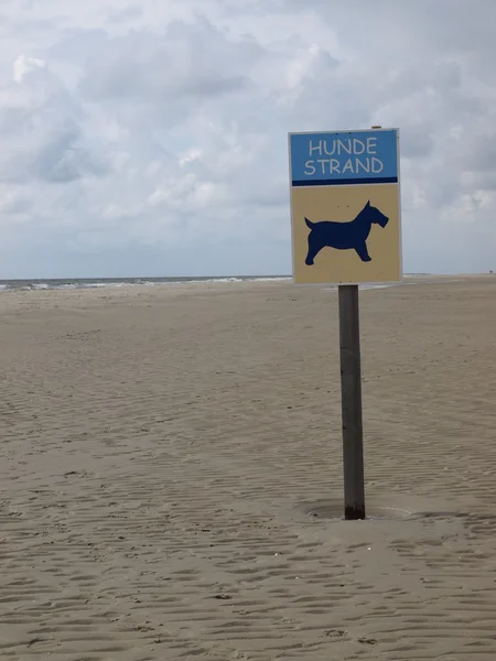 Hunde strand — Stok fotoğraf