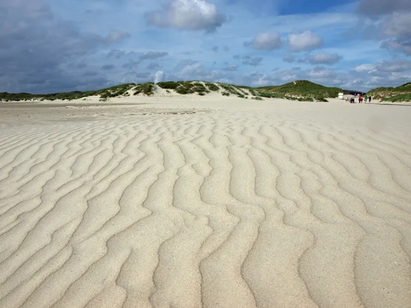 Пляж і дюн — стокове фото