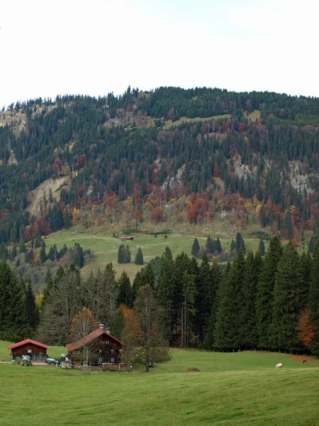 Alperna i höst med vackra landskap i Tyskland — Stockfoto