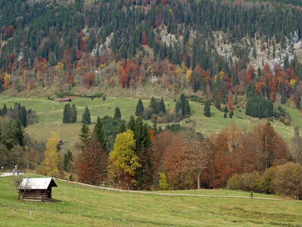 Alpen in de herfst met prachtige landschap in Duitsland — Stockfoto