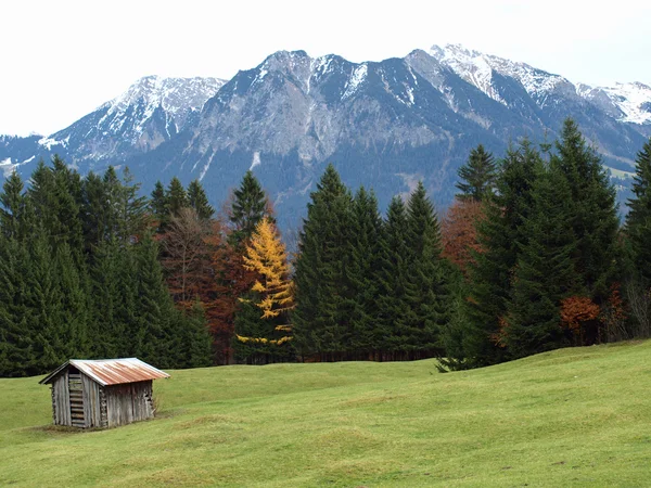 Berge Der Nähe Von Oberstdorf Deutschland Mit Einem Schuppen Der — Stockfoto
