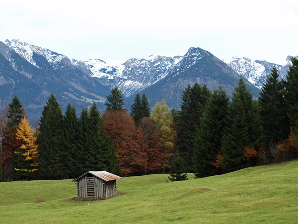 Mountains Close City Oberstdorf Germany Shed Front — Stock Photo, Image