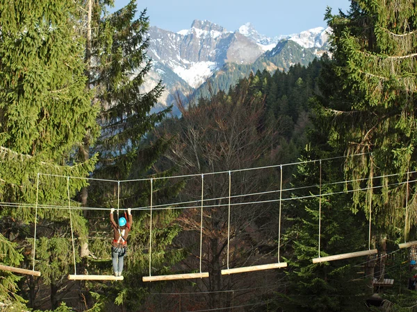 有人在一个特别的攀岩公园中间爬树 在背景中是阿尔卑斯山 图库照片