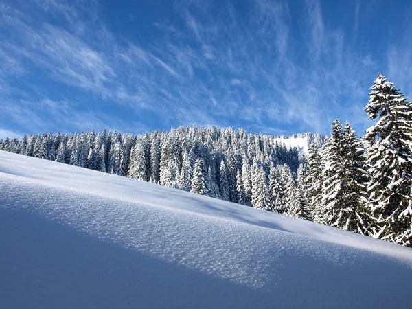 美丽不动的雪景观和在奥地利阿尔卑斯山的树 免版税图库照片