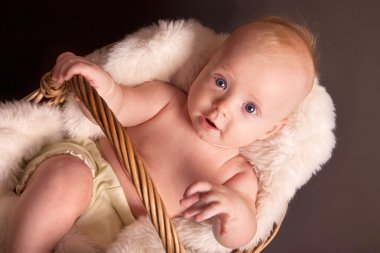 Baby boy in wicker basket (4 month old ) clipart