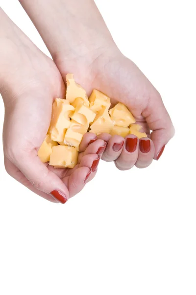 당신의 손에 치즈의 많은 조각 — 스톡 사진