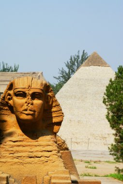 Sphynx bir arka planda bir piramit. bir kopya. Çin