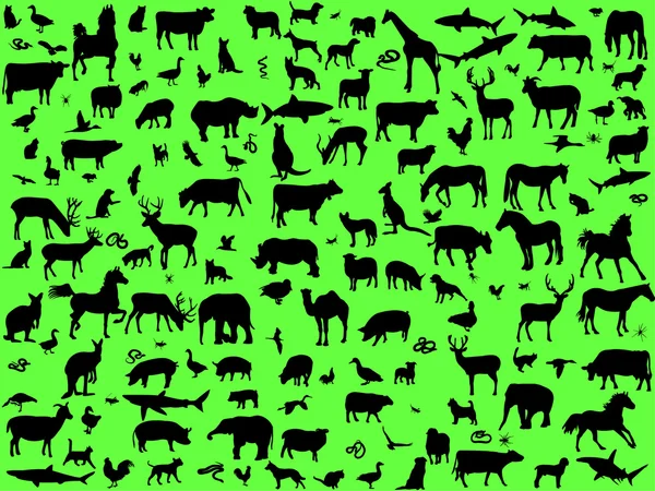 Různá zvířata — Stockový vektor